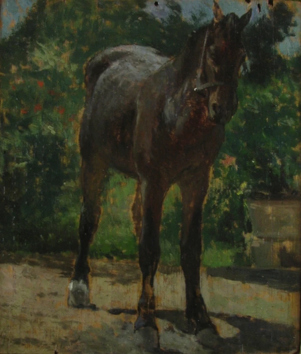 Cavallo - Ghilli Antichità di Paolo Giovannella, Milano